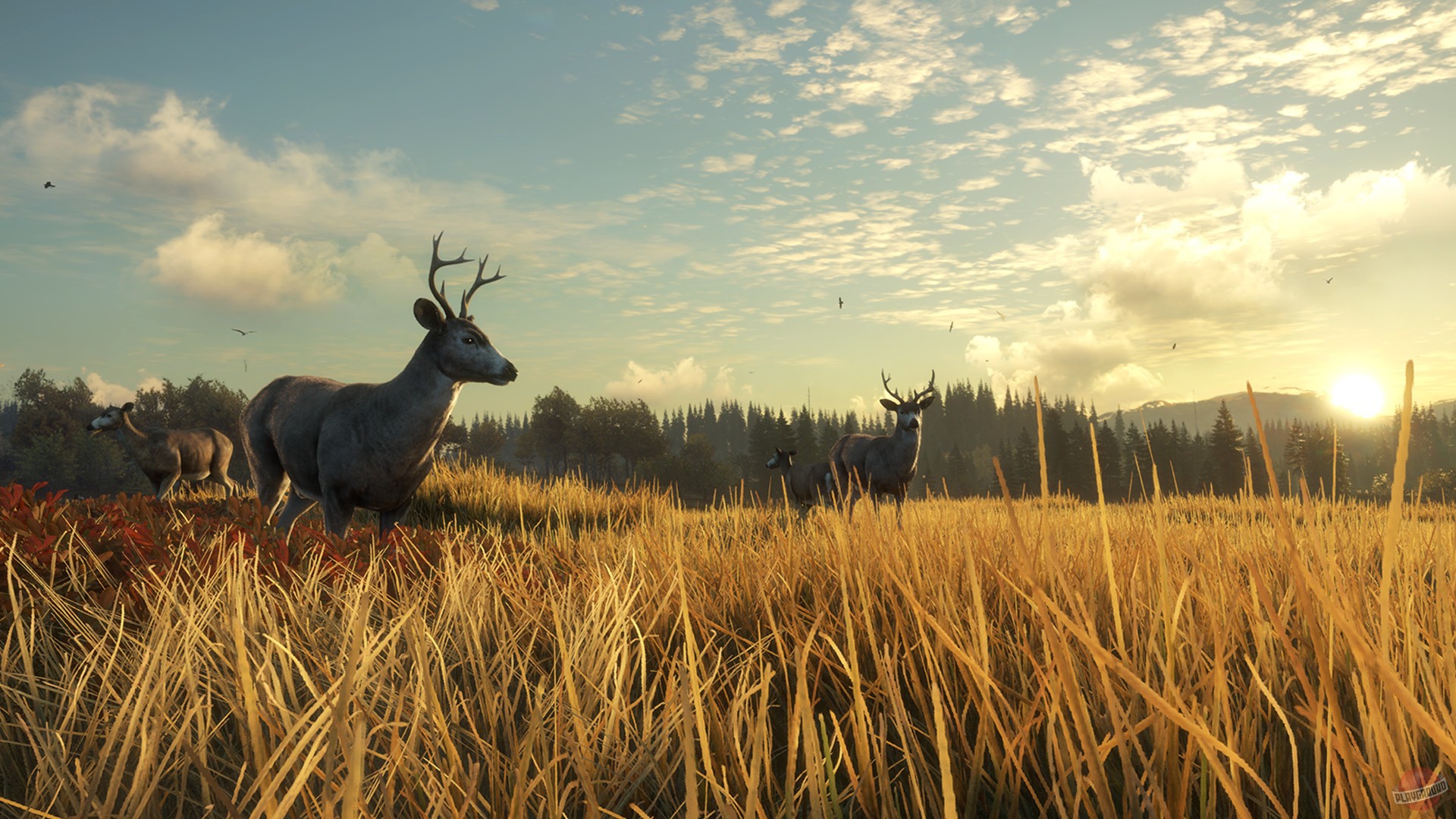 Скриншот из игры theHunter: Call of the Wild - 131
