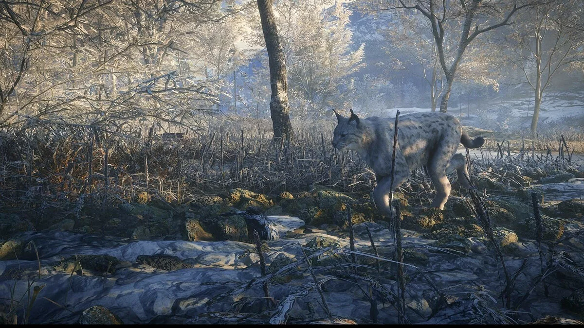 Скриншот из игры theHunter: Call of the Wild - 27