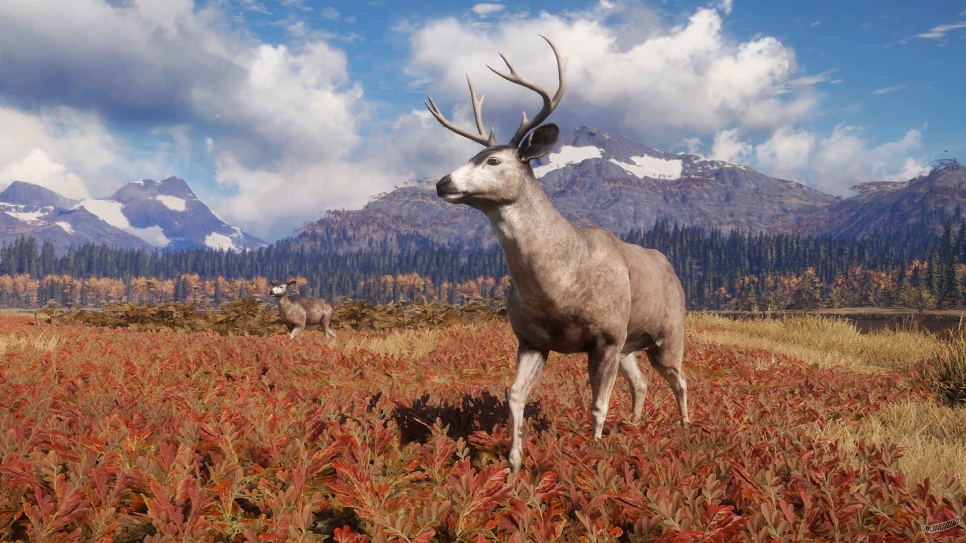 Скриншот из игры theHunter: Call of the Wild - 67