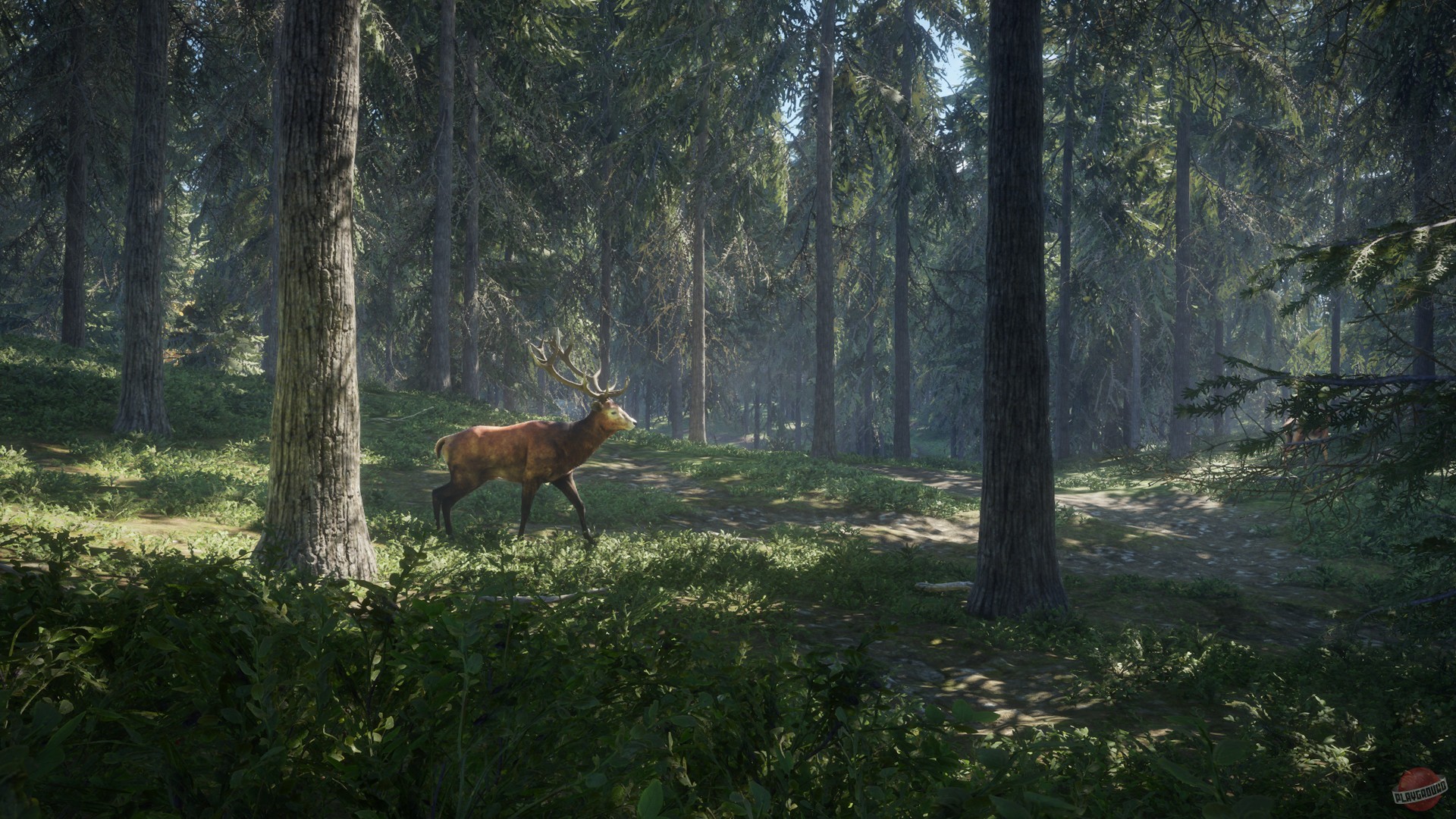 Скриншот из игры theHunter: Call of the Wild - 200