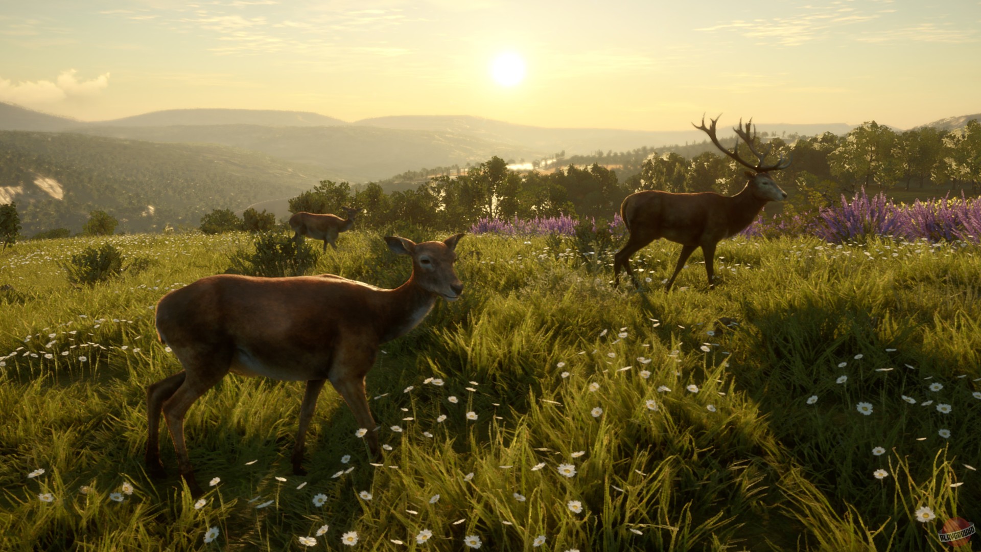 Скриншот из игры theHunter: Call of the Wild - 139