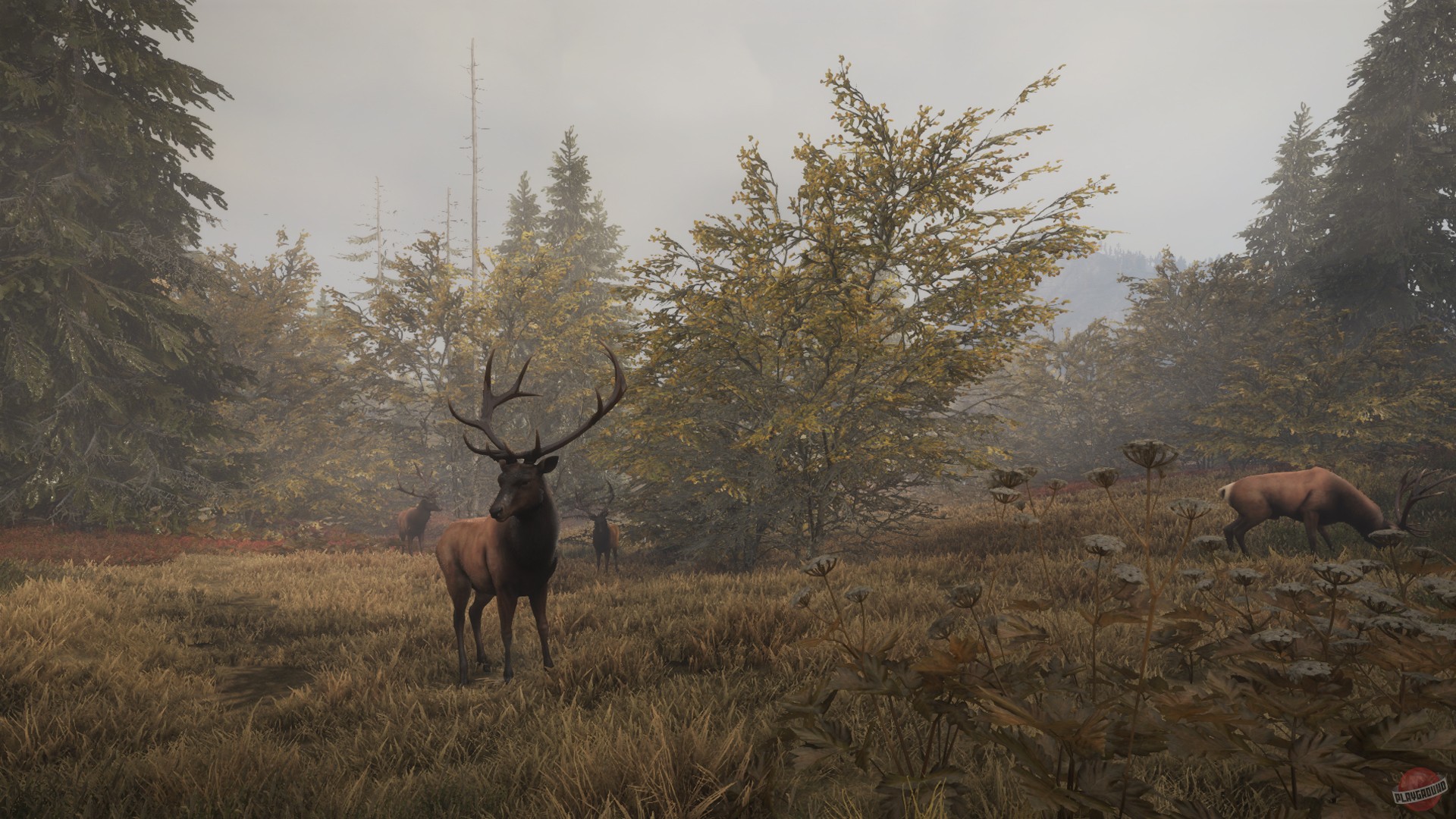 Скриншот из игры theHunter: Call of the Wild - 120