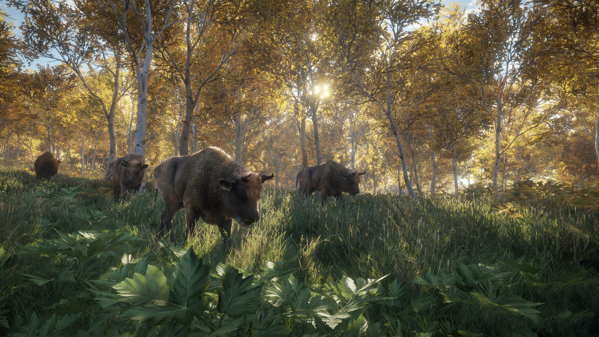 Скриншот из игры theHunter: Call of the Wild - 63