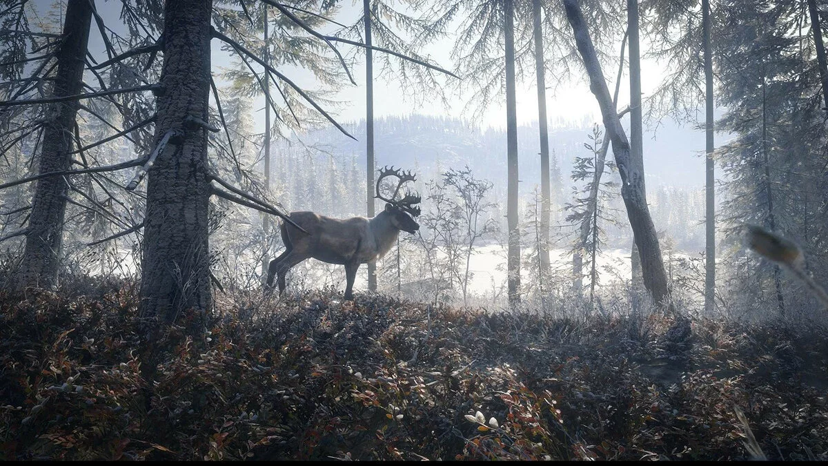 Скриншот из игры theHunter: Call of the Wild - 50