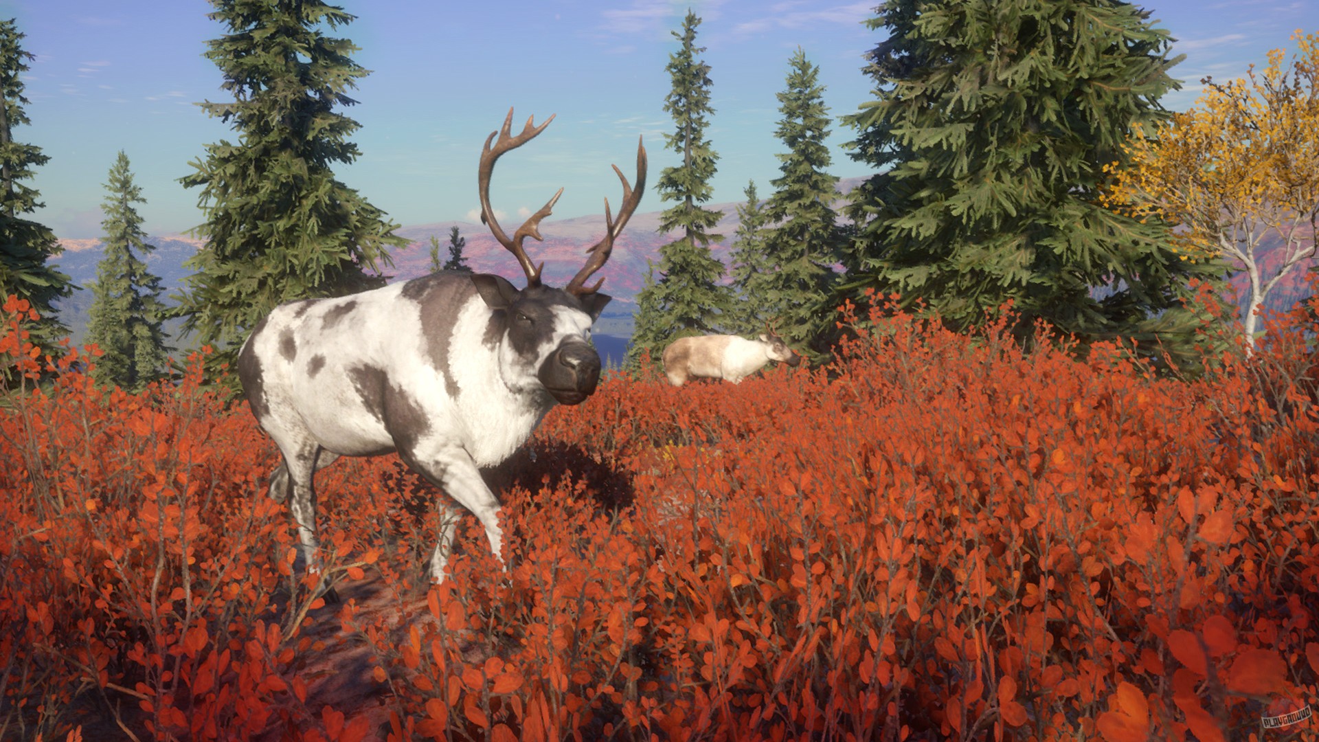 Скриншот из игры theHunter: Call of the Wild - 38