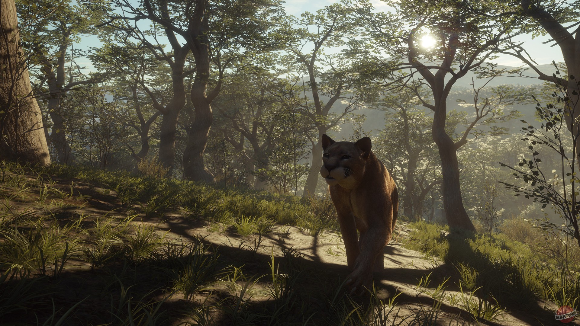 Скриншот из игры theHunter: Call of the Wild - 202