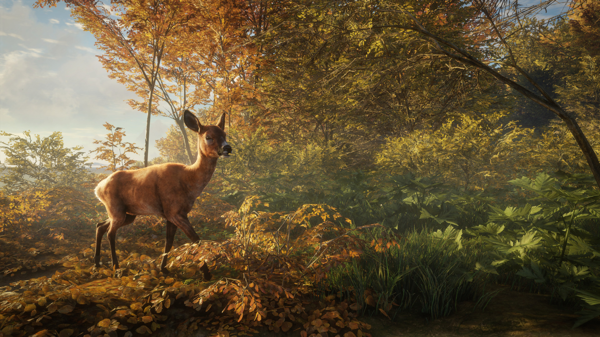 Скриншот из игры theHunter: Call of the Wild - 61