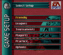 Скриншот из игры FIFA Soccer '96 - 8