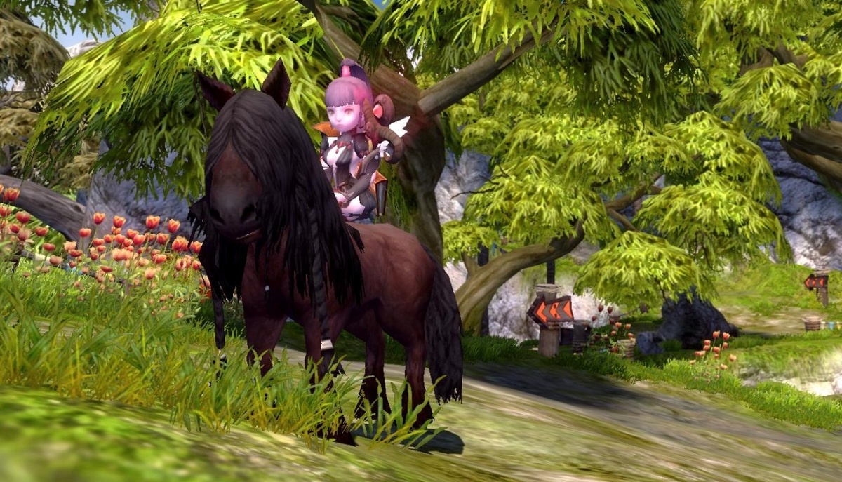 Скриншот из игры Dragon Nest - 200