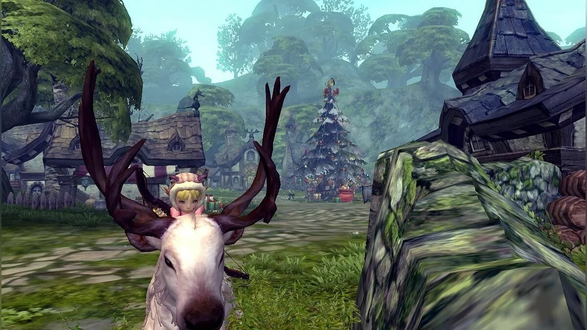 Скриншот из игры Dragon Nest - 48