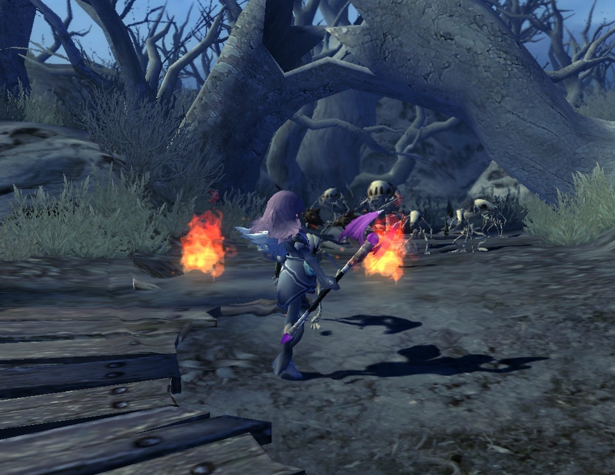 Скриншот из игры Dragon Nest - 162