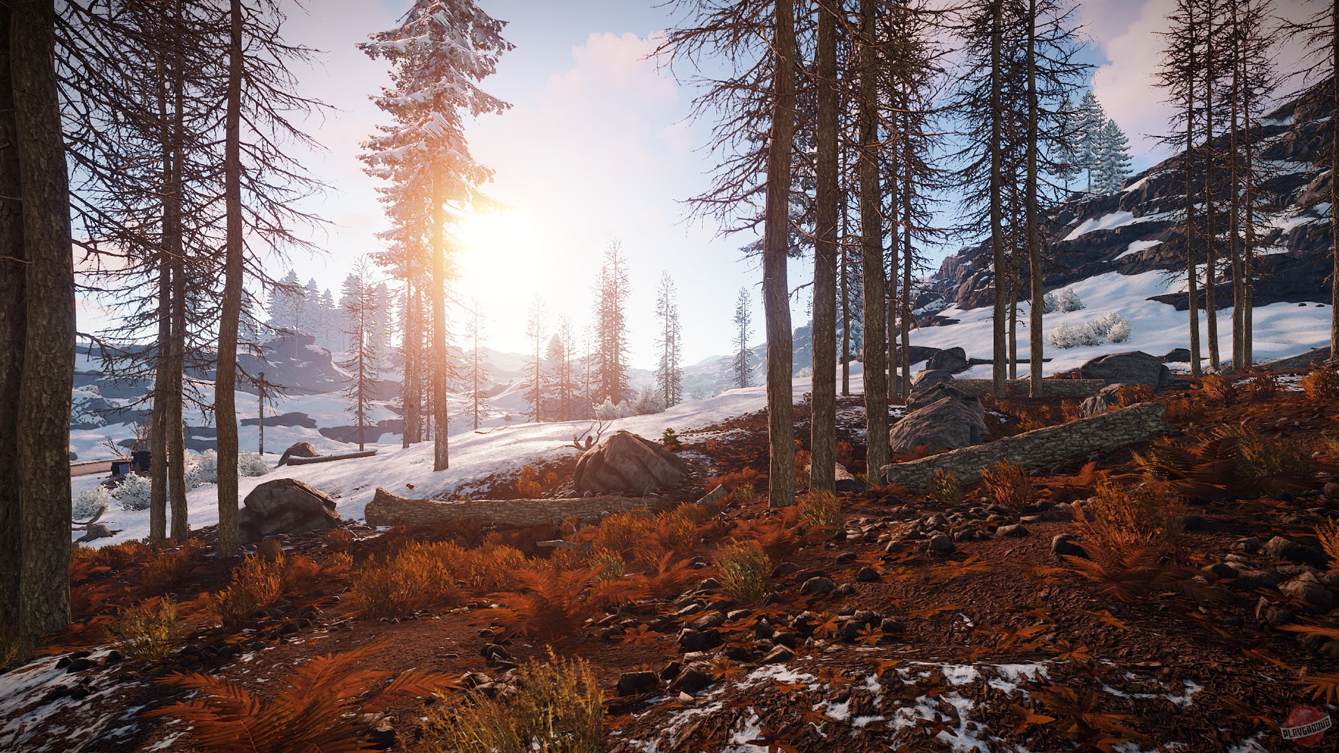 Скриншот из игры Rust - 117