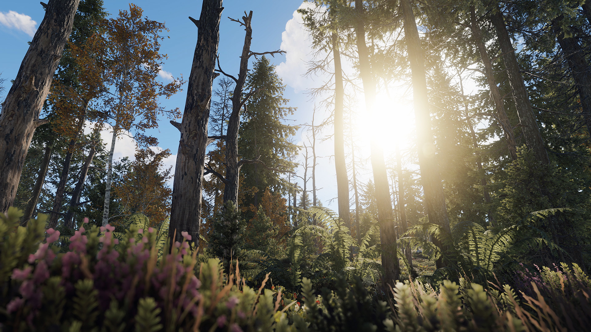 Скриншот из игры Rust - 106