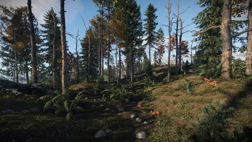 Скриншот из игры Rust - 6