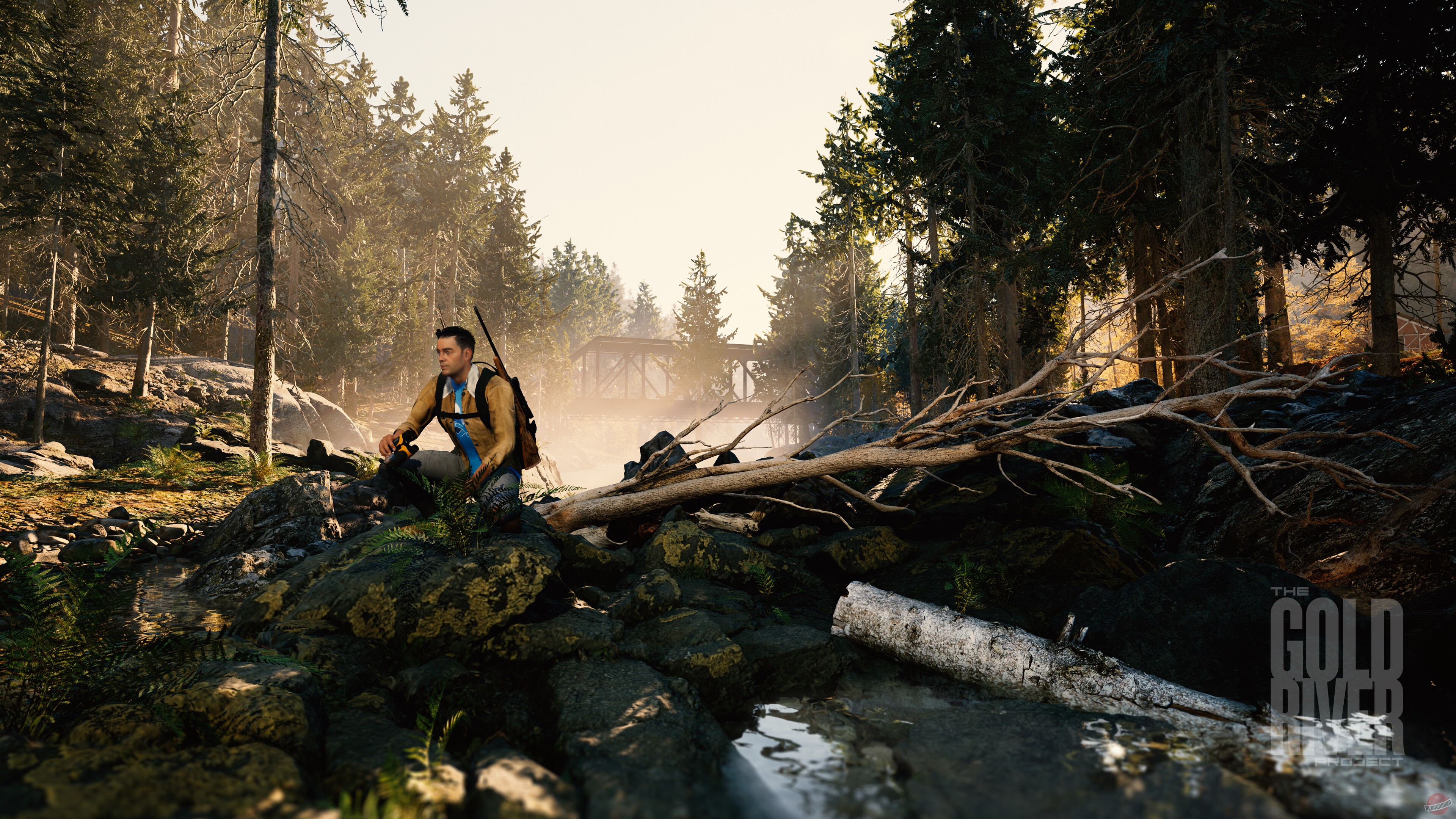 Скриншот из игры The Gold River Project - 5