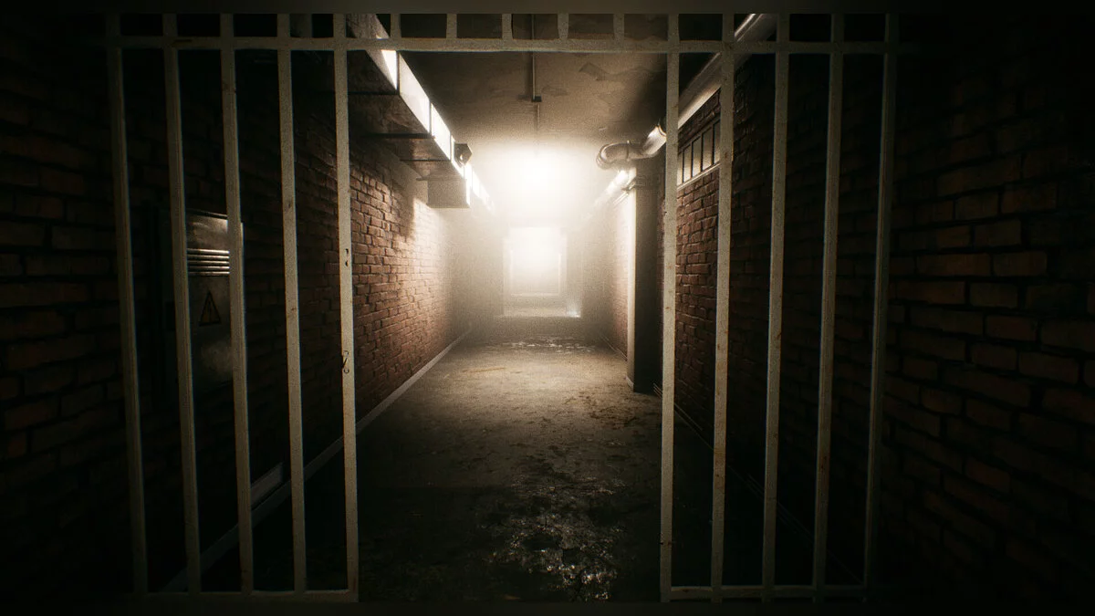 Скриншот из игры Escape the Backrooms - 12