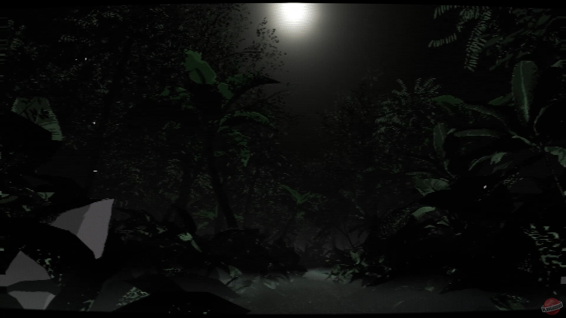 Скриншот из игры Borneo: A Jungle Nightmare - 14