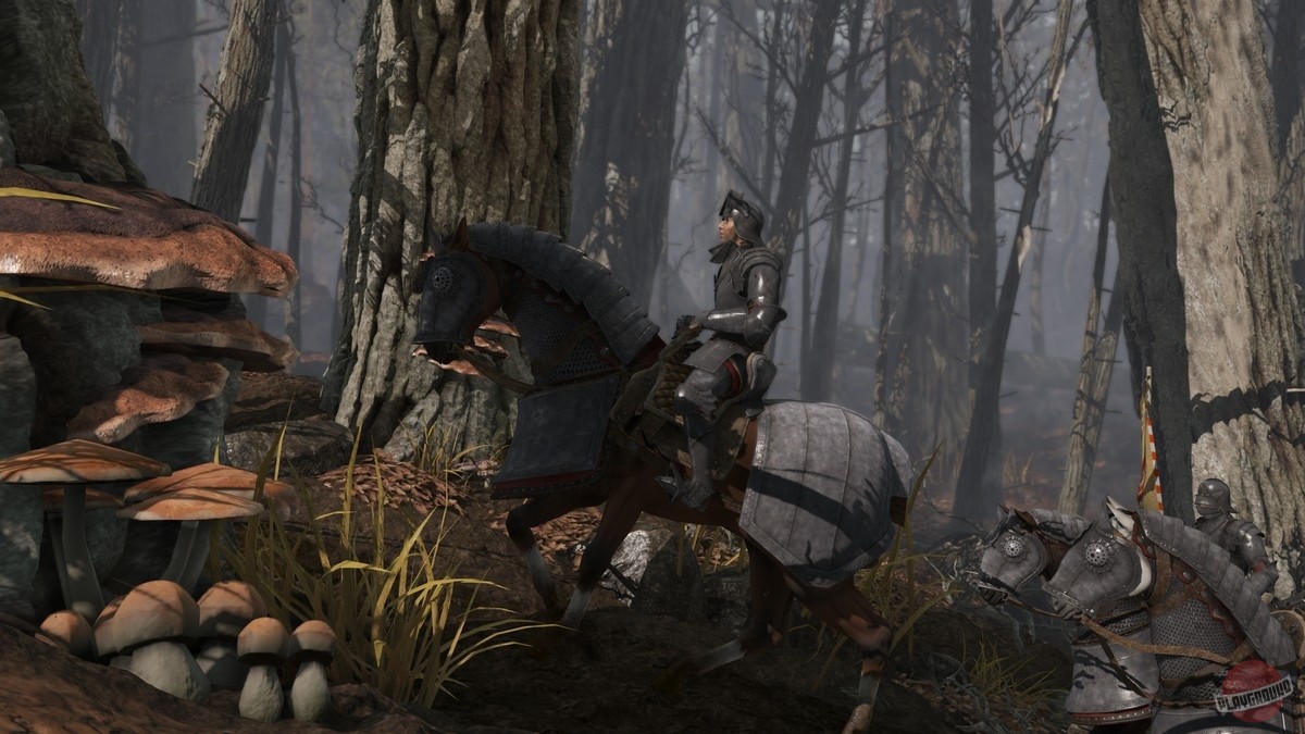 Скриншот из игры War of the Roses - 60