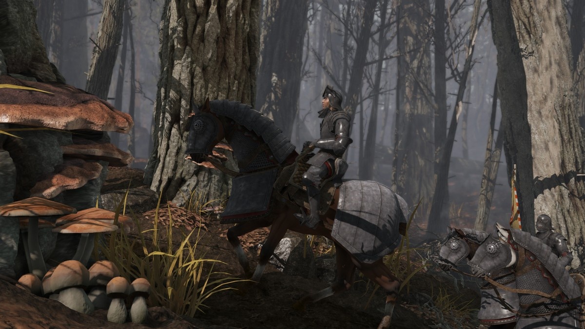 Скриншот из игры War of the Roses - 109