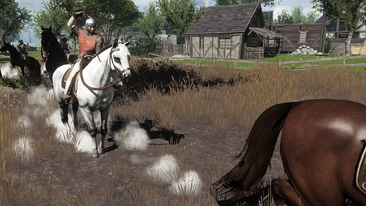 Скриншот из игры War of the Roses - 16