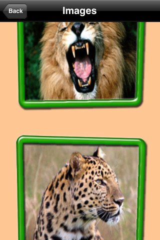 Скриншот из игры Tiles Puzzle - 1