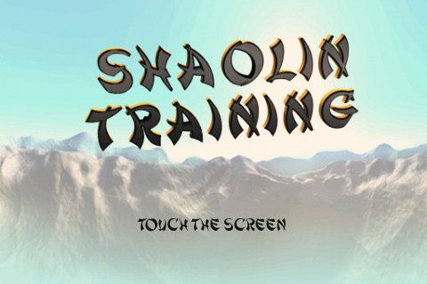 Скриншот из игры Shaolin Training - 3