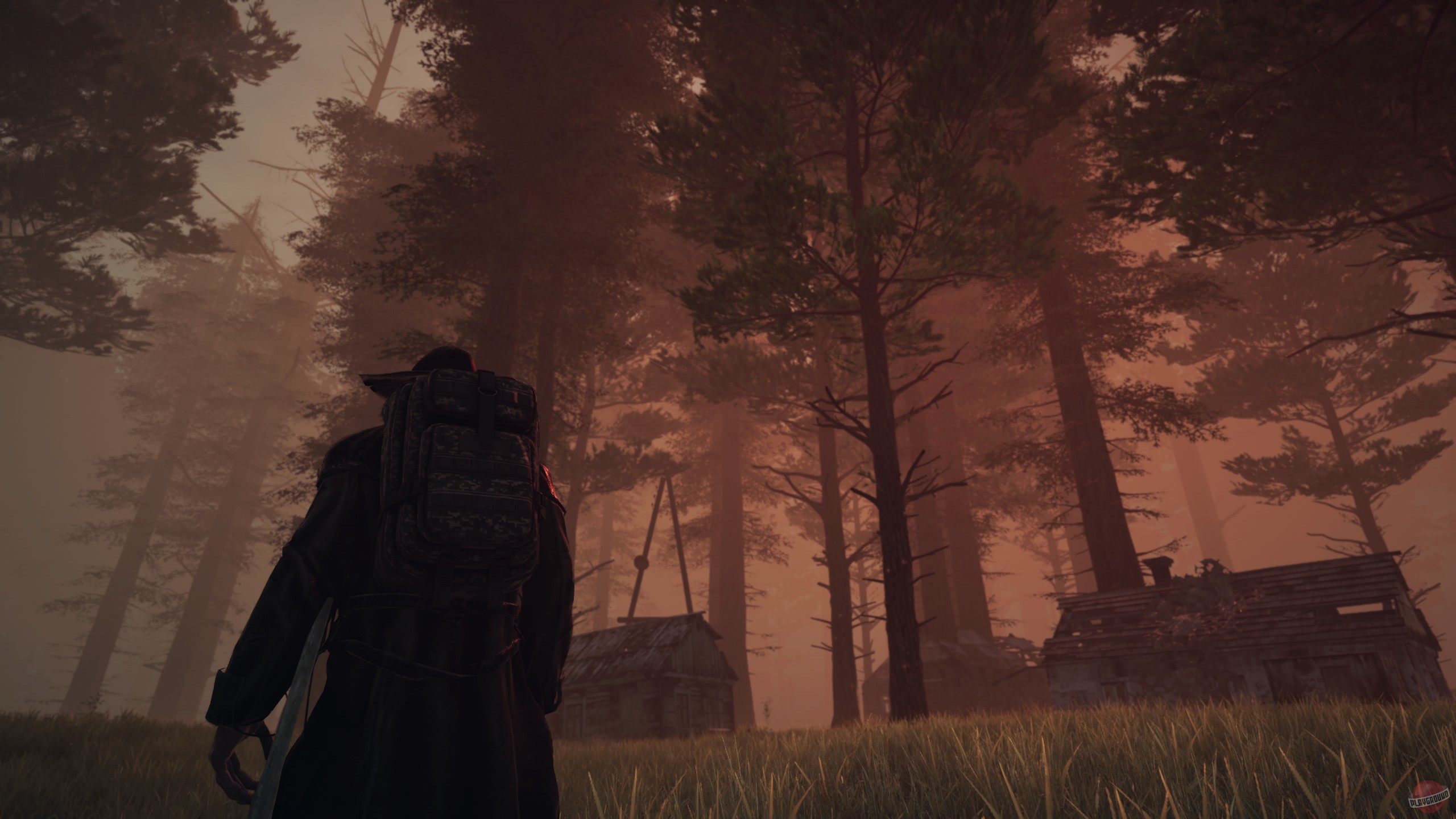 Скриншот из игры Paragrowth - 6