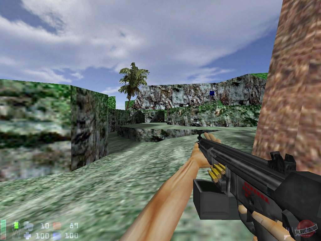 Скриншот из игры FireArms - 5