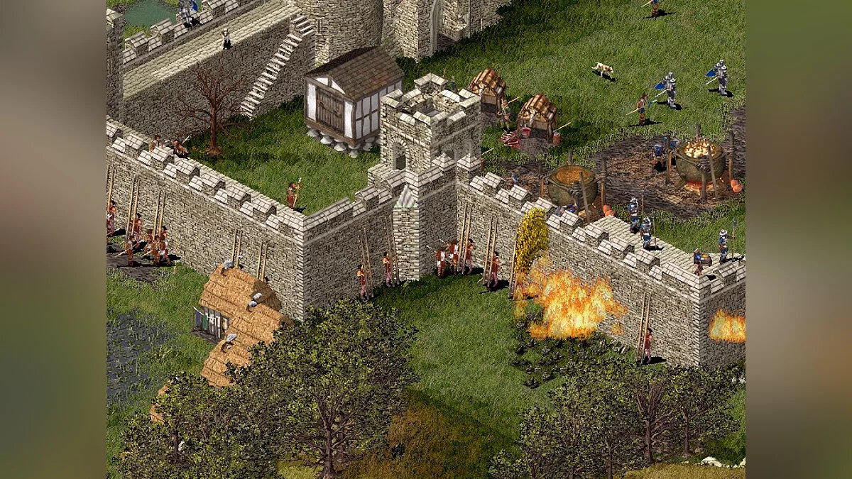 Скриншот из игры Firefly Studios' Stronghold - 2