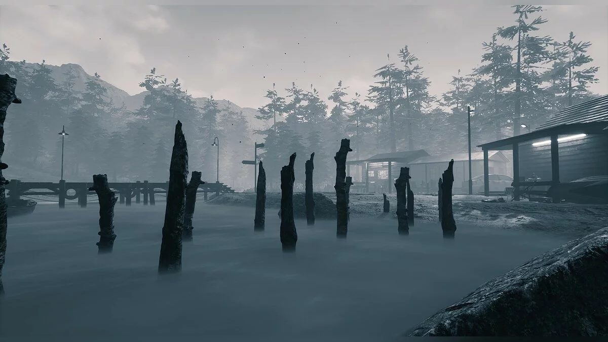 Скриншот из игры In Plain Sight - 12