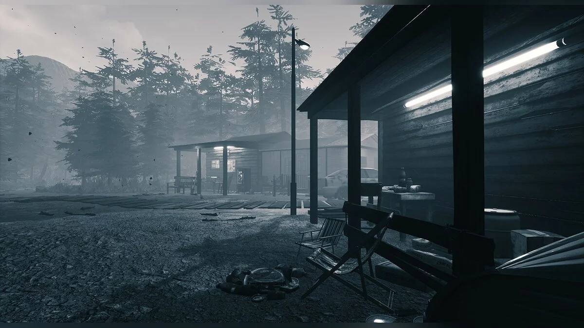 Скриншот из игры In Plain Sight - 14