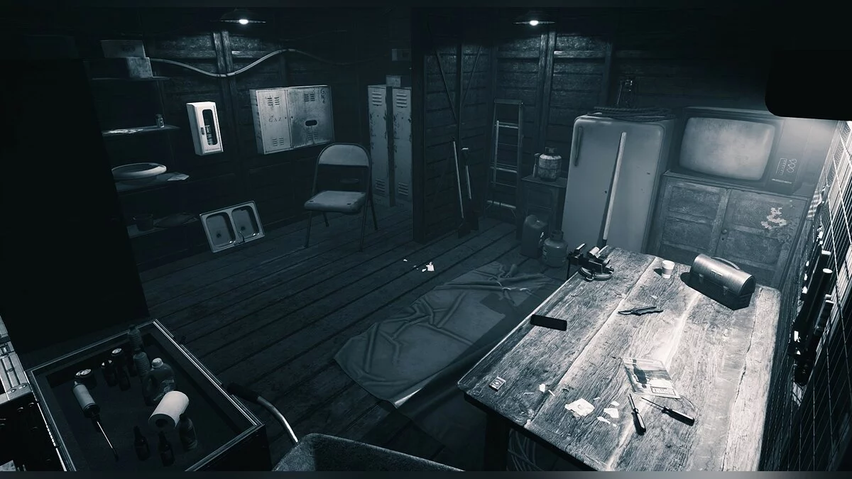 Скриншот из игры In Plain Sight - 8