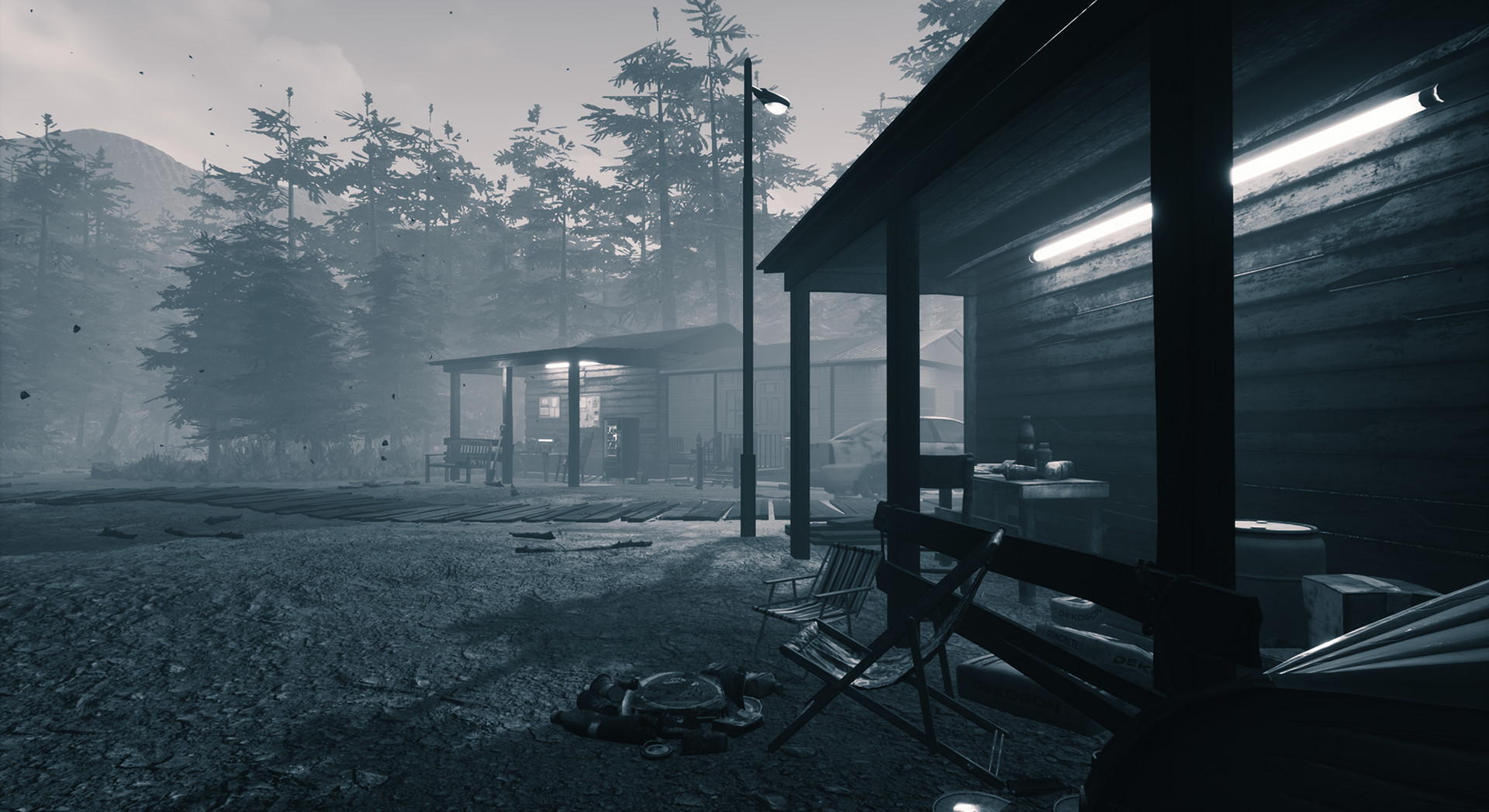 Скриншот из игры In Plain Sight - 2