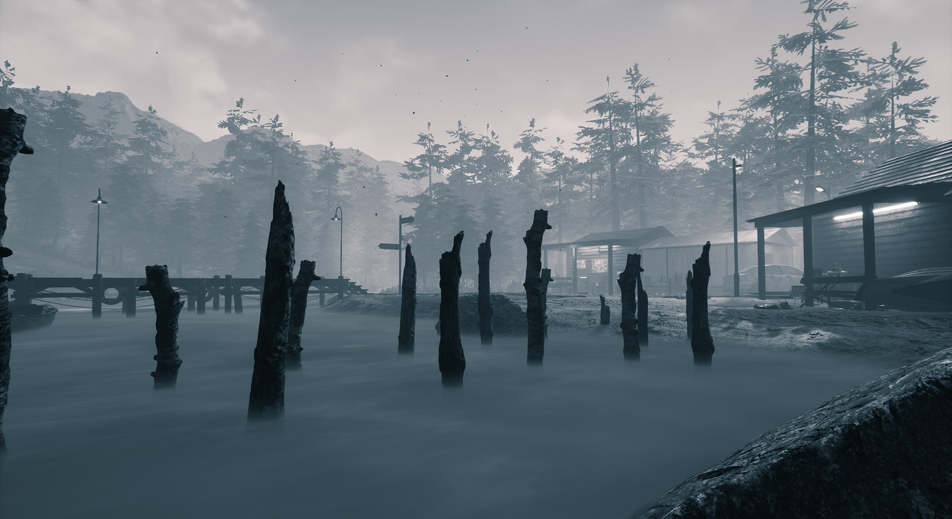 Скриншот из игры In Plain Sight - 6