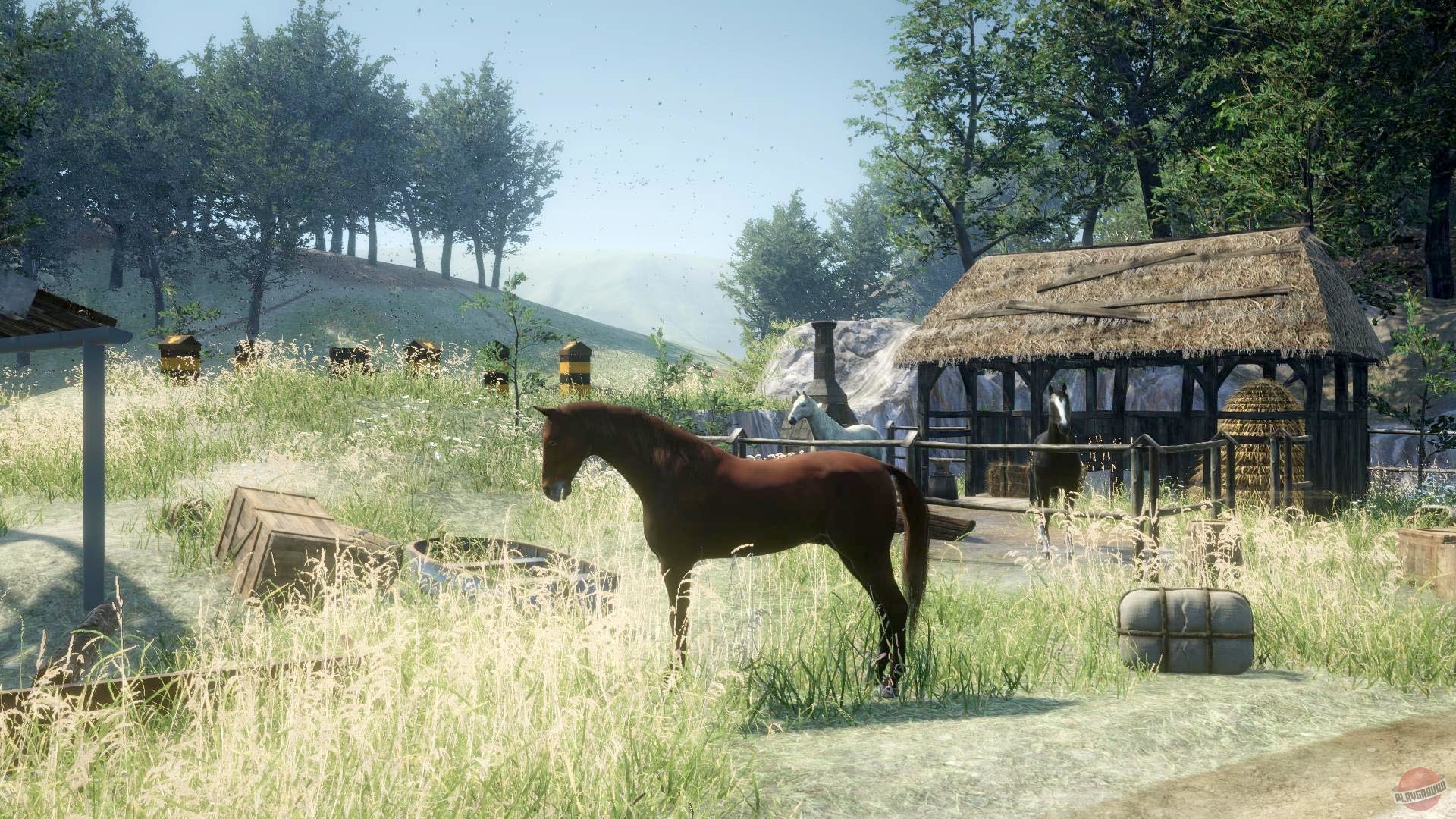 Скриншот из игры Party Maker - 31