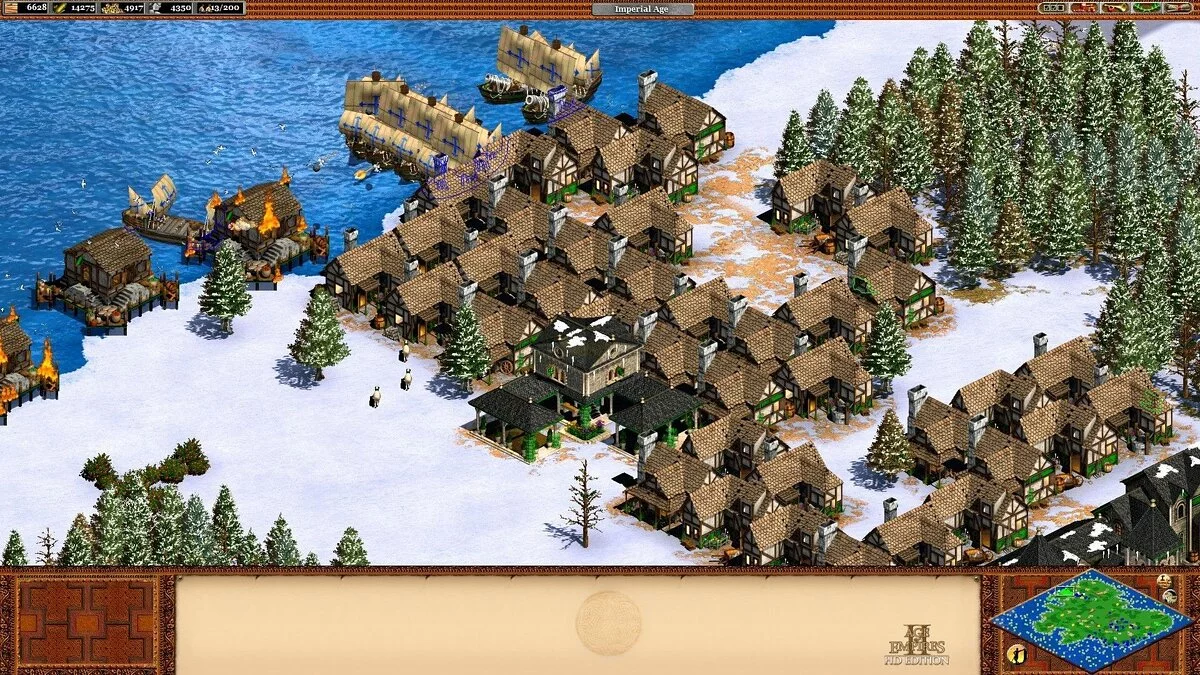 Скриншот из игры Age of Empires 2: Definitive Edition - 14