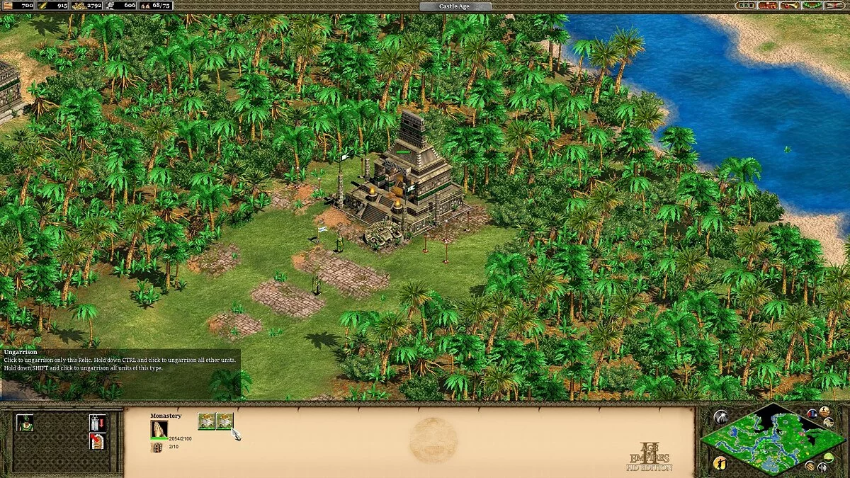 Скриншот из игры Age of Empires 2: Definitive Edition - 32