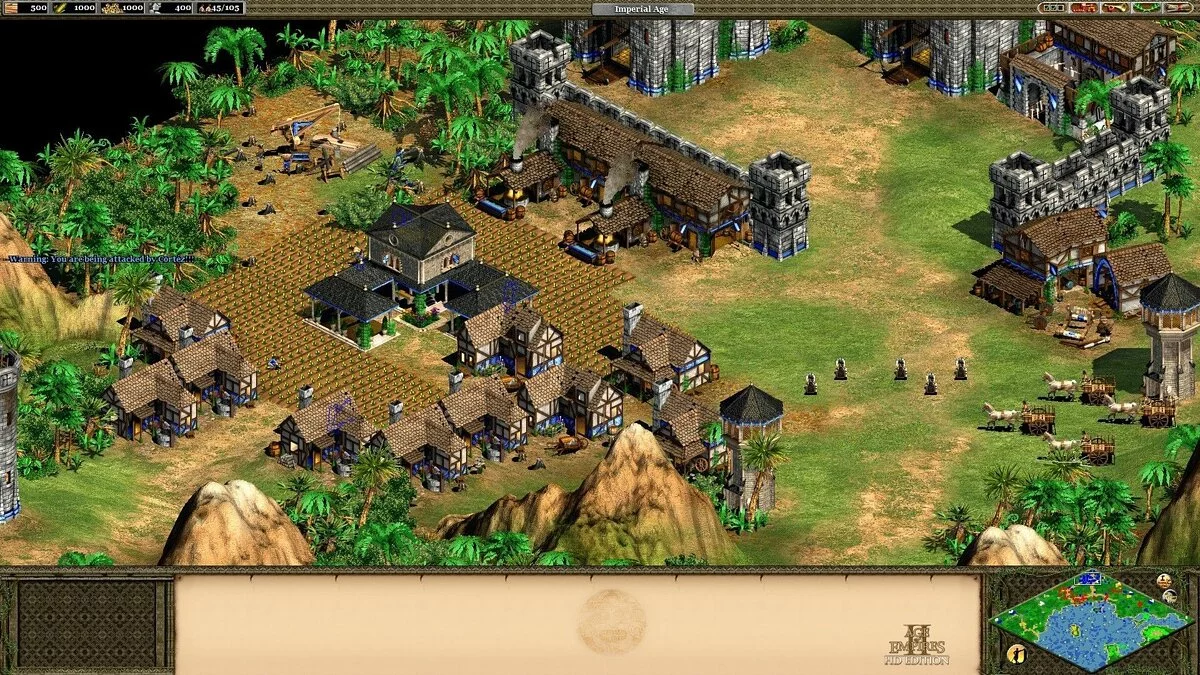 Скриншот из игры Age of Empires 2: Definitive Edition - 24