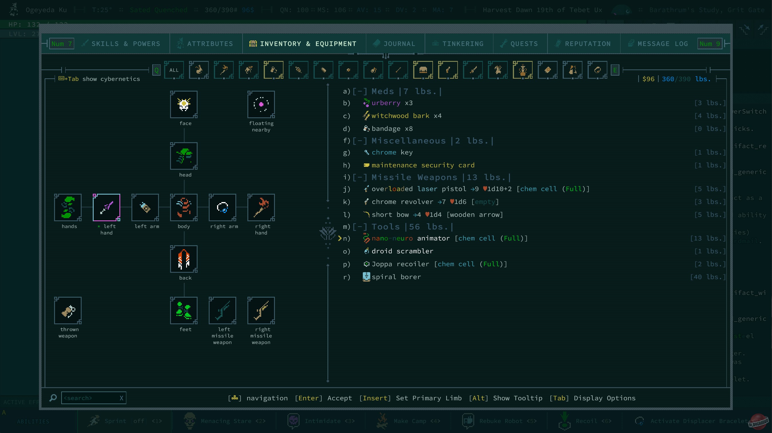 Скриншот из игры Caves of Qud - 39