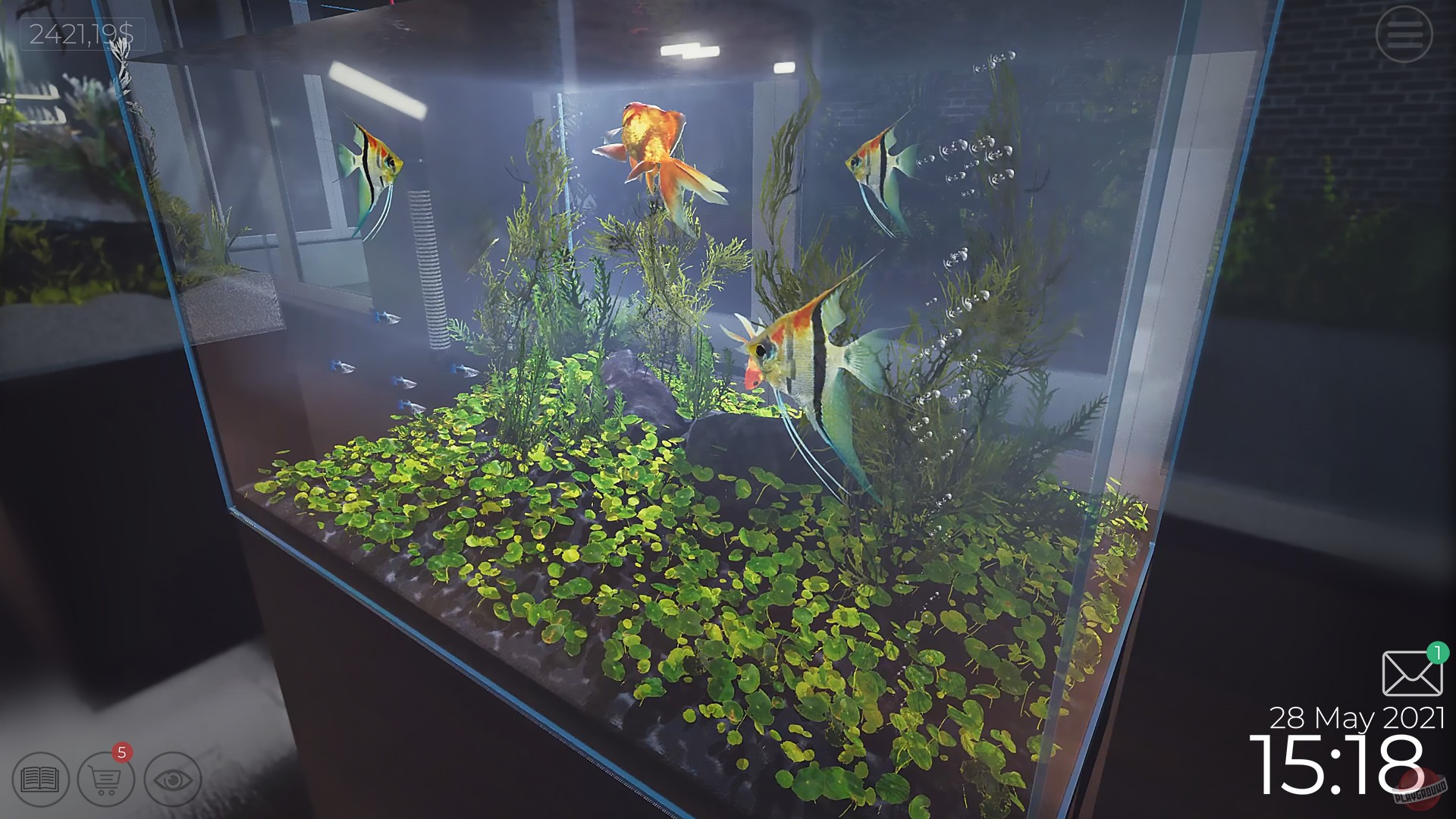 Скриншот из игры Aquarist - 12