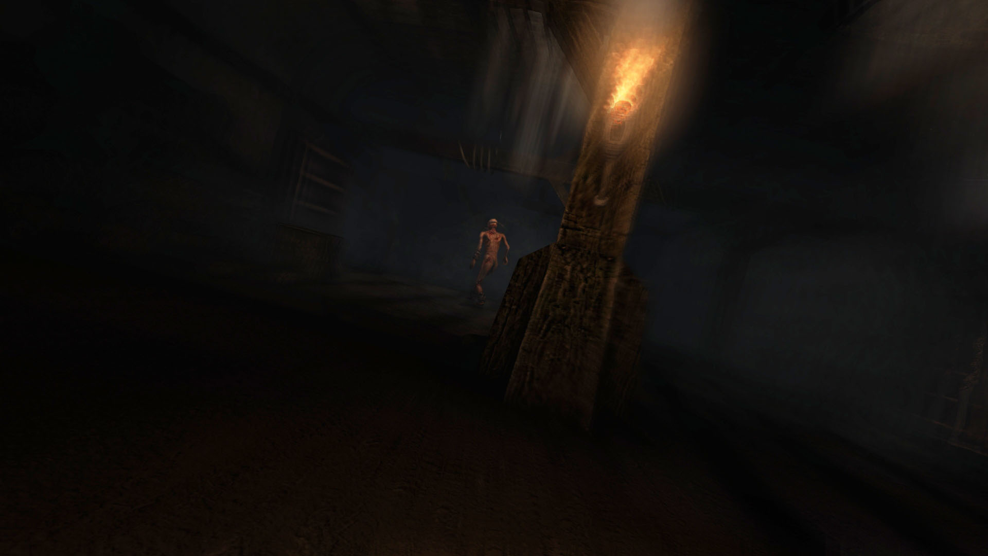 Скриншот из игры Amnesia Collection - 19