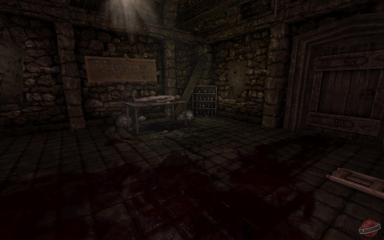 Скриншот из игры Amnesia: The Dark Descent - 12