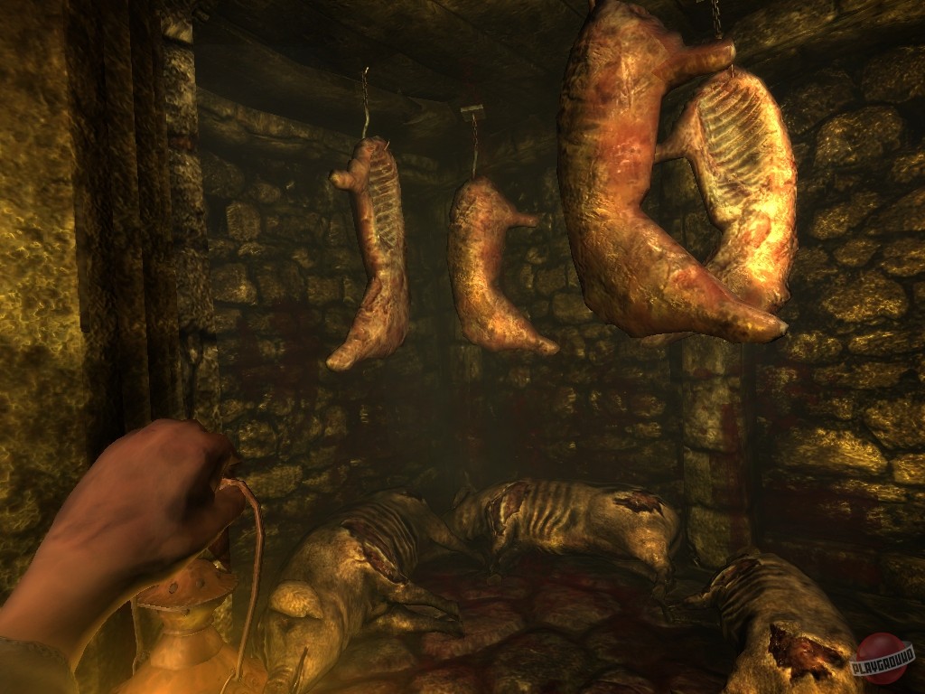 Скриншот из игры Amnesia: The Dark Descent - 7