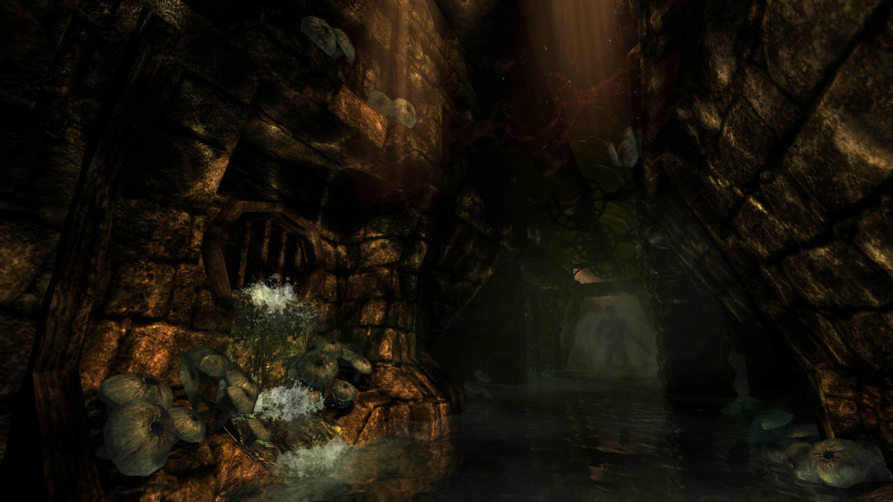 Скриншот из игры Amnesia: The Dark Descent - 45