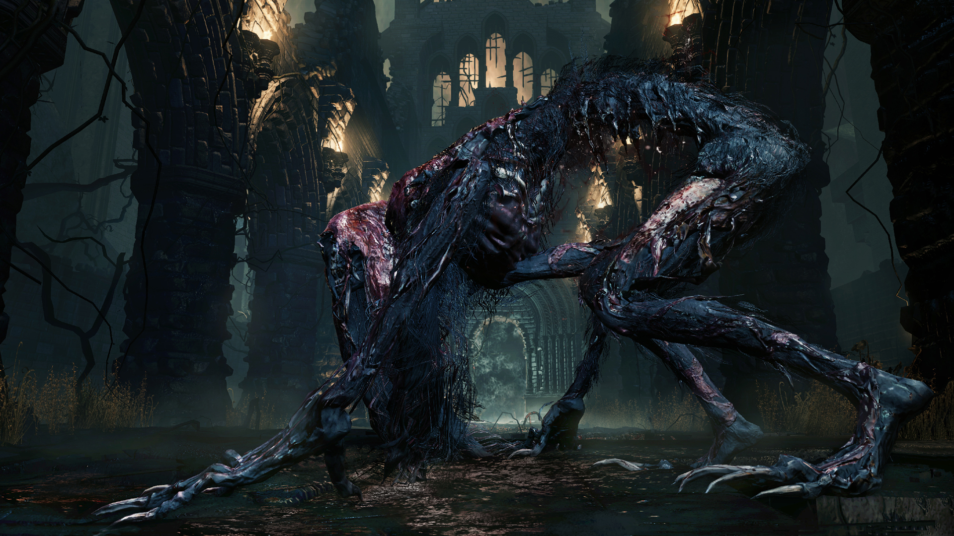 Скриншот из игры Bloodborne: The Old Hunters - 33