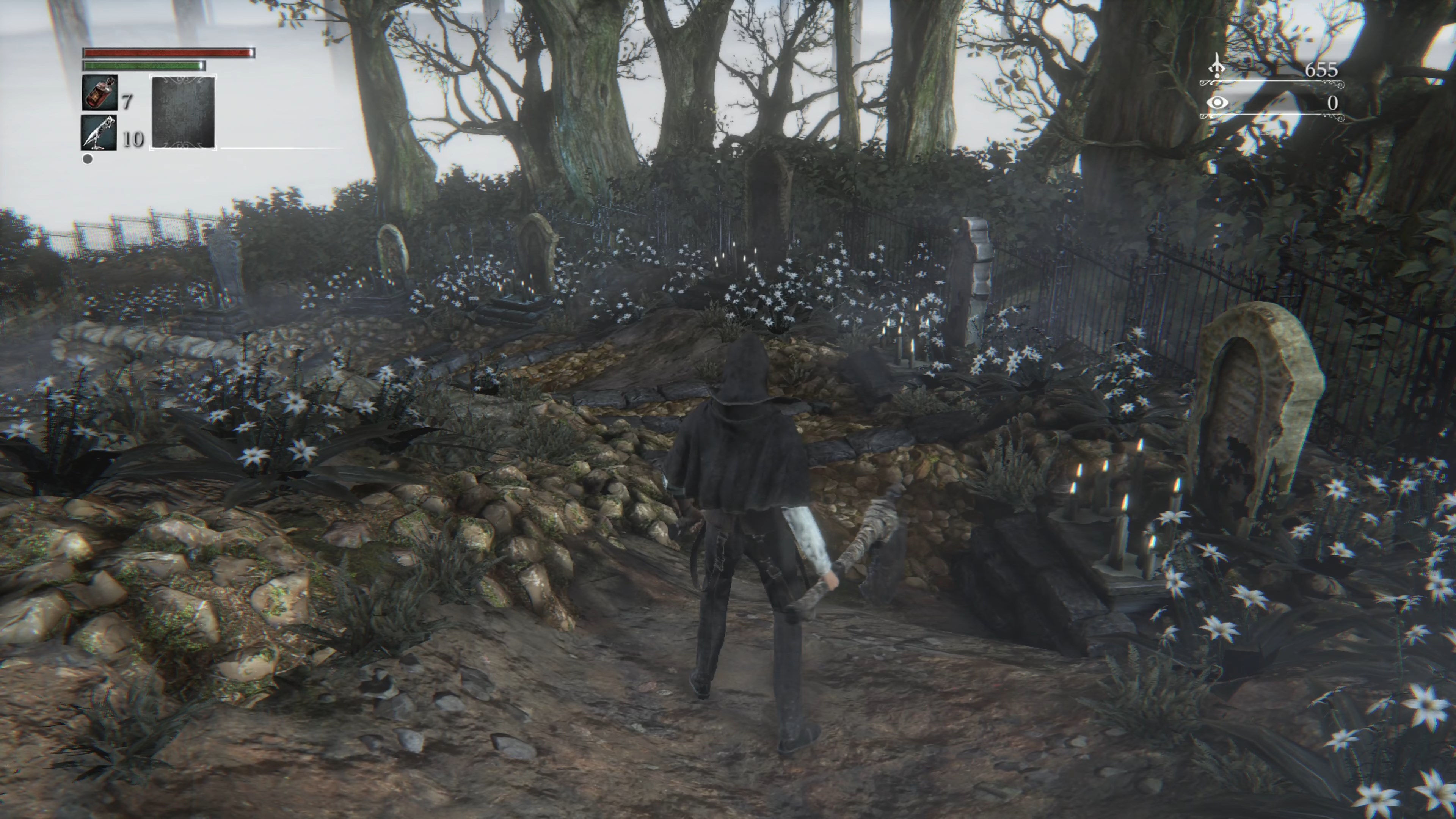 Скриншот из игры Bloodborne - 129
