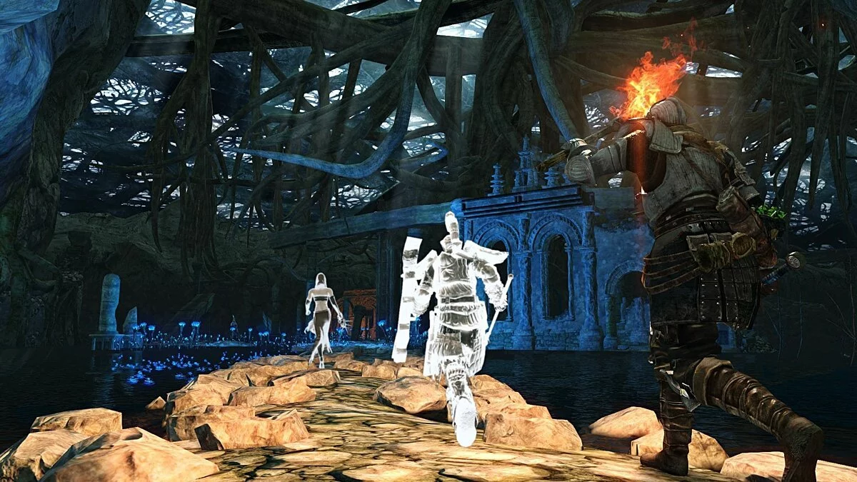 Скриншот из игры Dark Souls 2: Crown of the Old Iron King - 5