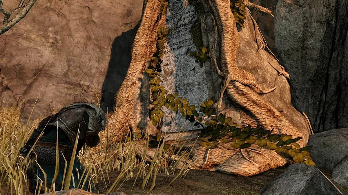 Скриншот из игры Dark Souls 2 - 258