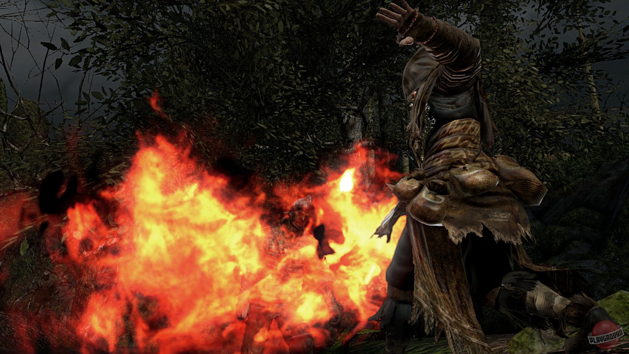 Скриншот из игры Dark Souls 2 - 283