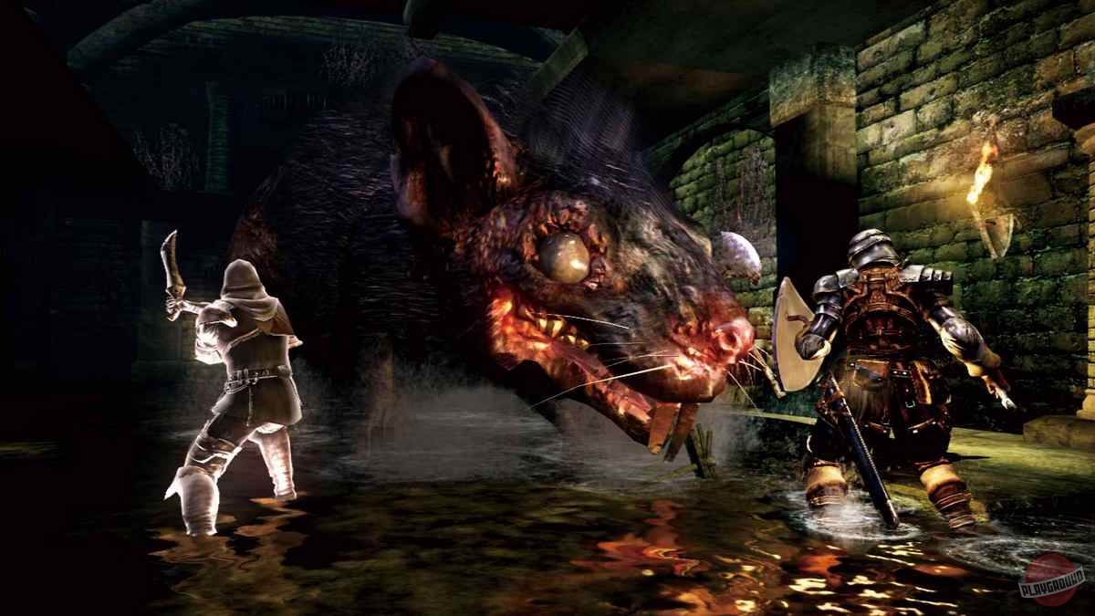 Скриншот из игры Dark Souls - 217